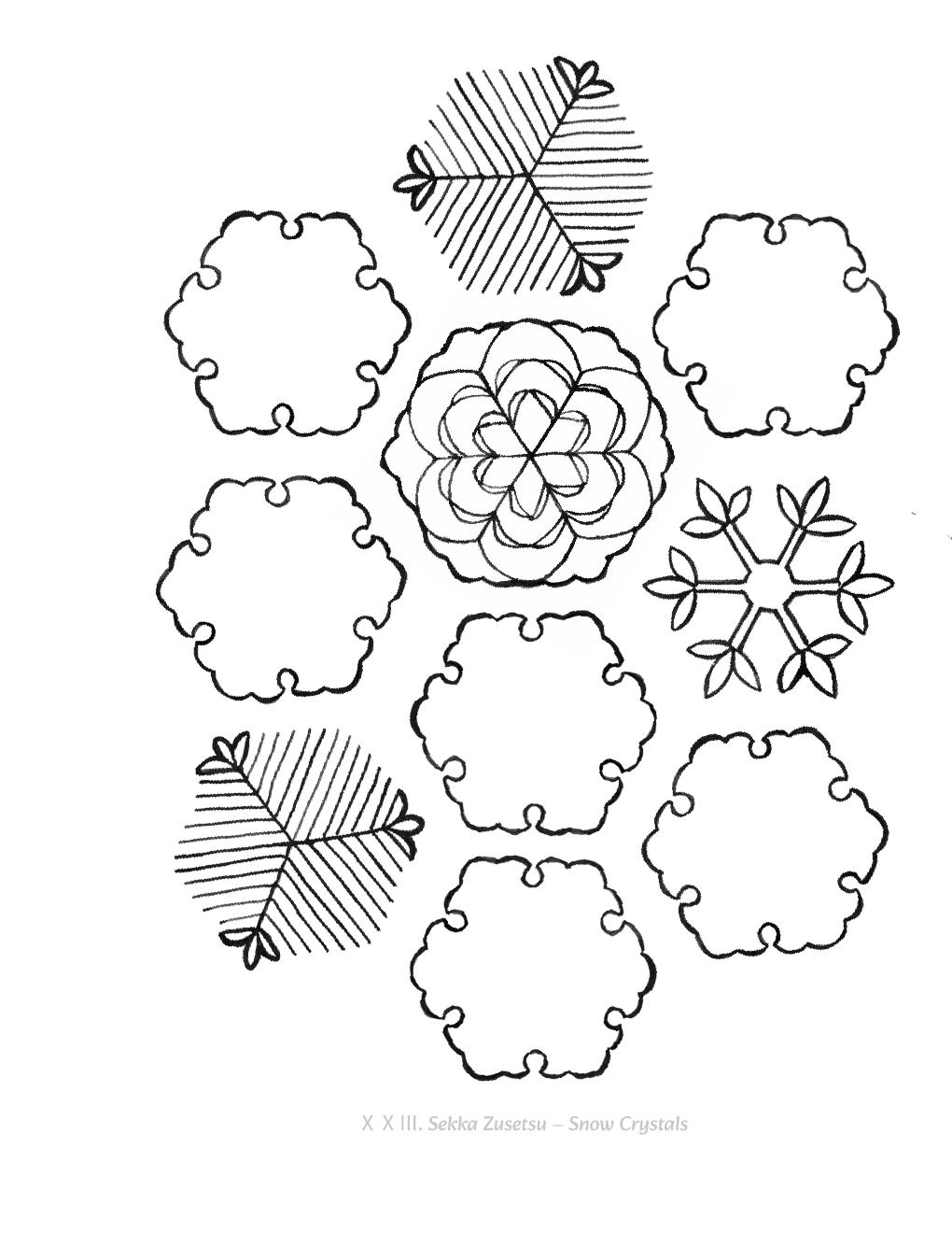 ⅩⅩⅢ. Snow Crystals — Sekka Zusetsu