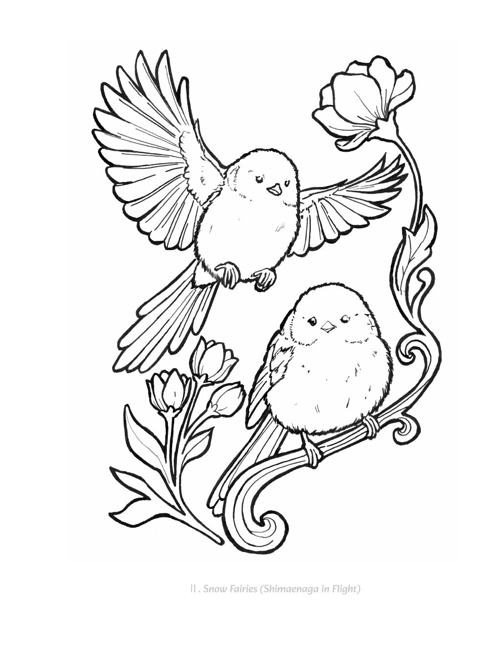 Ⅱ. Snow Fairies — Shimaenaga in Flight