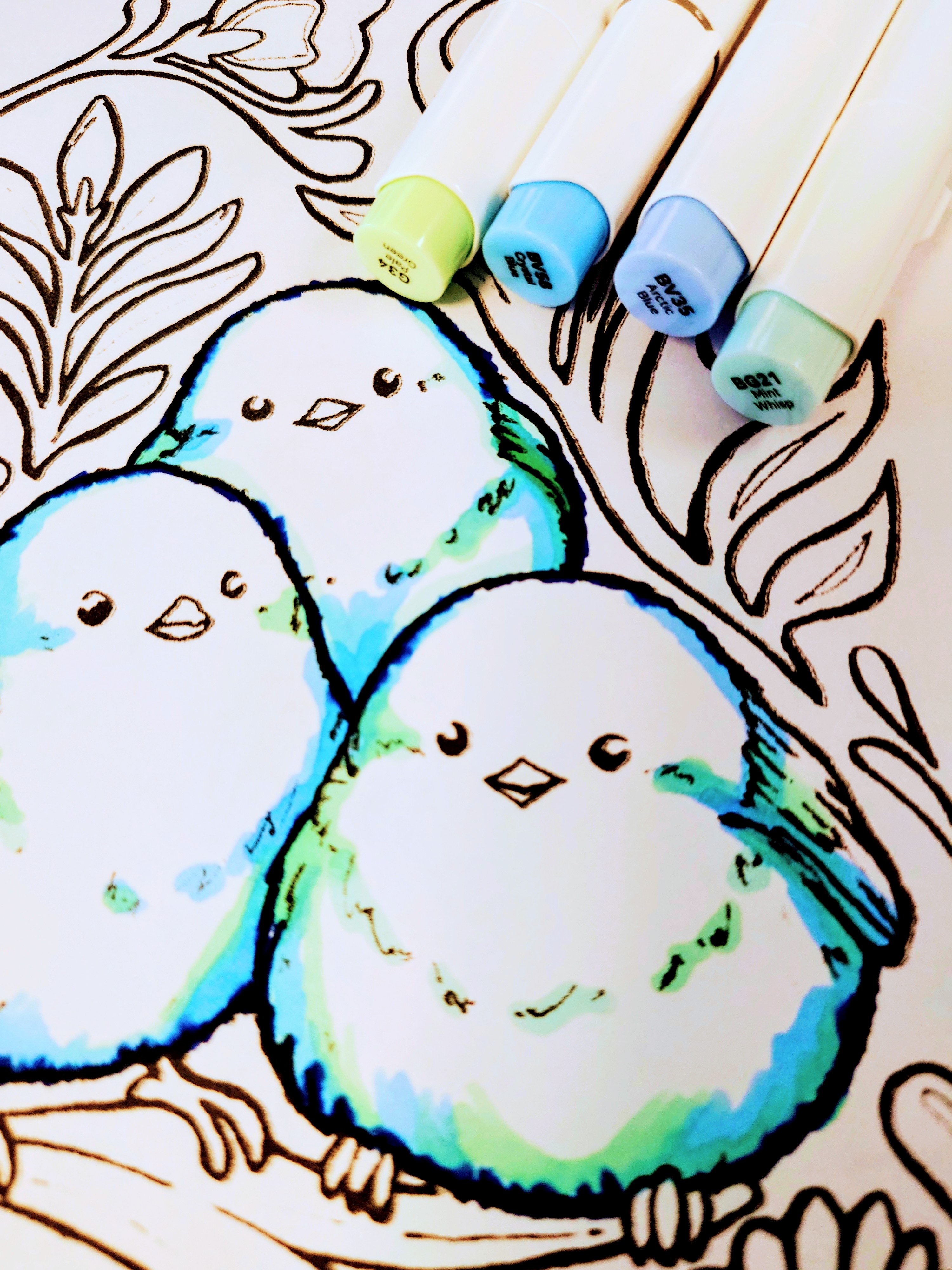 Snow Fairies — completed coloring with markers
