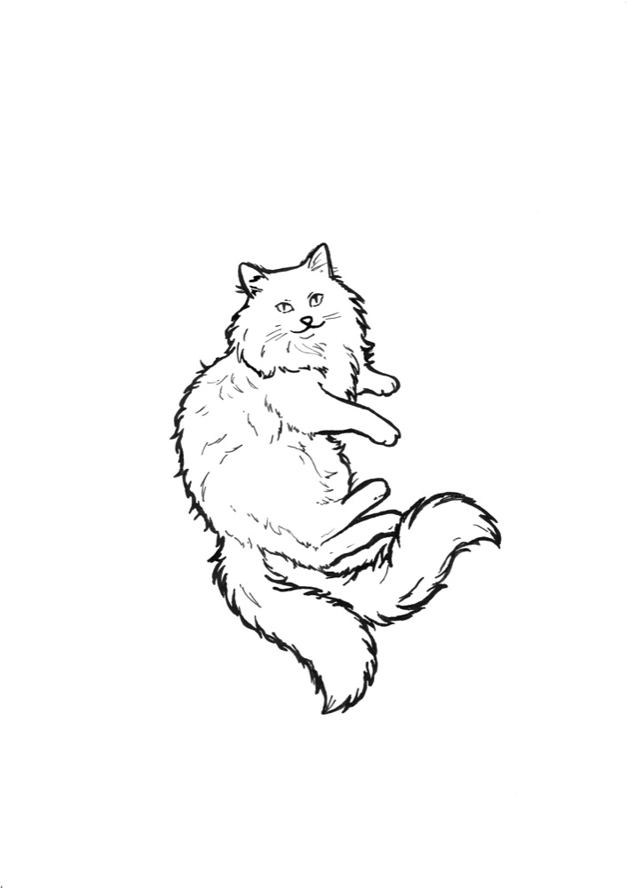 A long-haired cat at rest — coloring page